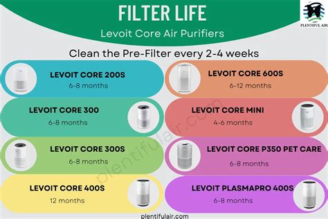 levoit filter replacement how often